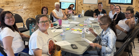 An Update on the Sport, Physical Activity and Recreation Action Plan